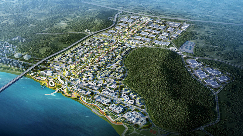 1663569276528577.jpg a-4.jpg